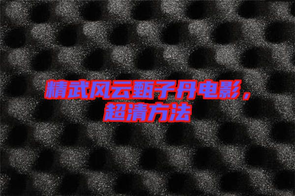 精武風(fēng)云甄子丹電影，超清方法