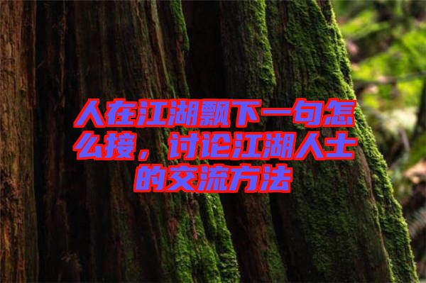 人在江湖飄下一句怎么接，討論江湖人士的交流方法