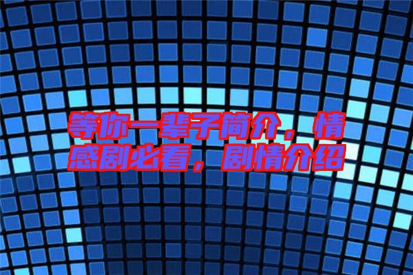 等你一輩子簡介，情感劇必看，劇情介紹