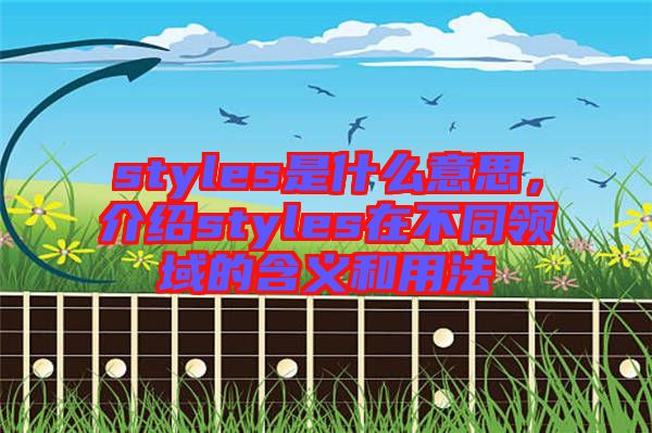 styles是什么意思，介紹styles在不同領(lǐng)域的含義和用法
