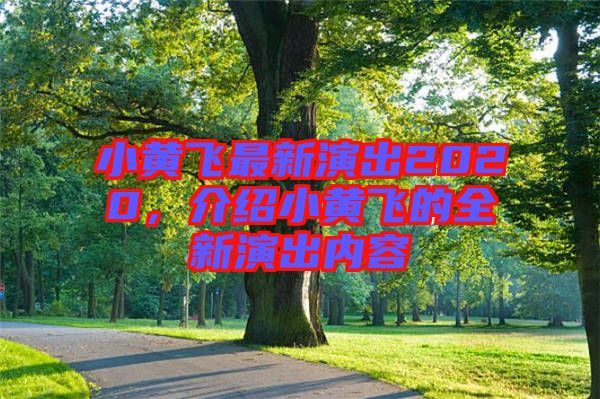 小黃飛最新演出2020，介紹小黃飛的全新演出內(nèi)容