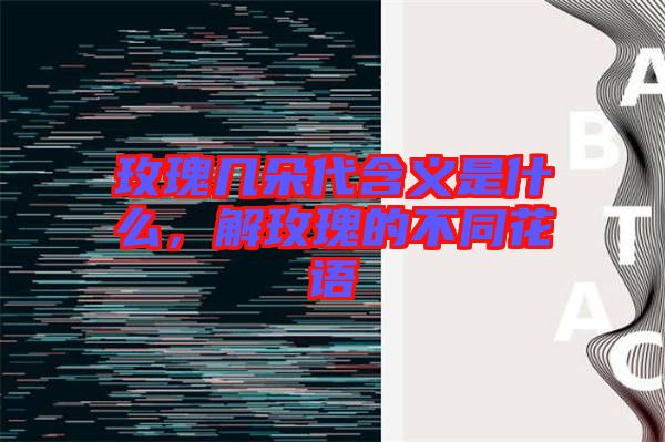 玫瑰幾朵代含義是什么，解玫瑰的不同花語