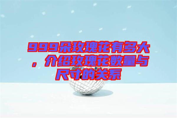 999朵玫瑰花有多大，介紹玫瑰花數(shù)量與尺寸的關(guān)系