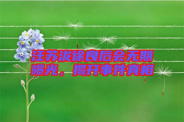 汪蘇瀧徐良后會無期曝光，揭開事件真相