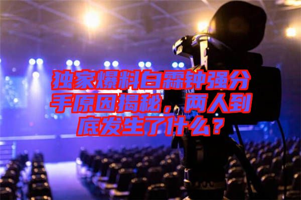 獨家爆料白霖鐘強分手原因揭秘，兩人到底發(fā)生了什么？