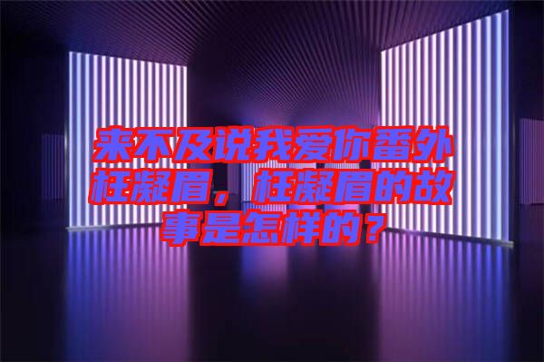 來不及說我愛你番外枉凝眉，枉凝眉的故事是怎樣的？