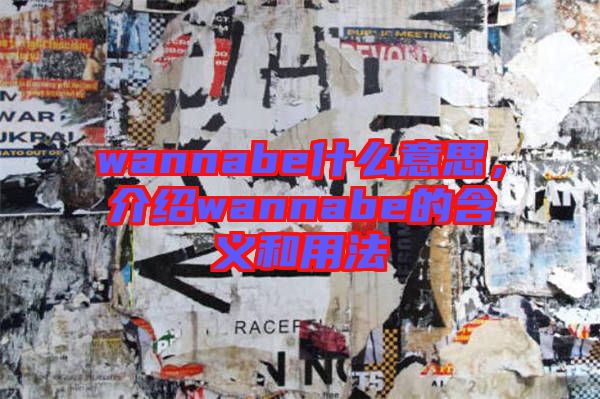 wannabe什么意思，介紹wannabe的含義和用法