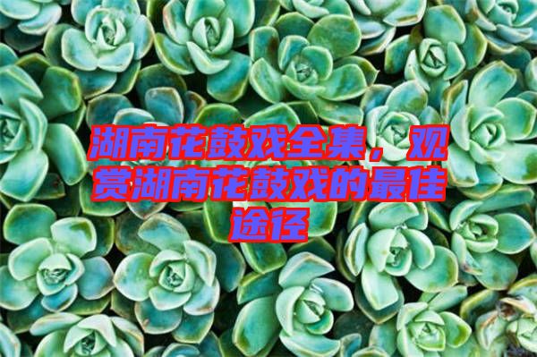 湖南花鼓戲全集，觀賞湖南花鼓戲的最佳途徑