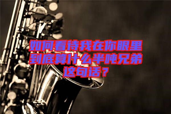 如何看待我在你眼里到底算什么半噸兄弟這句話？