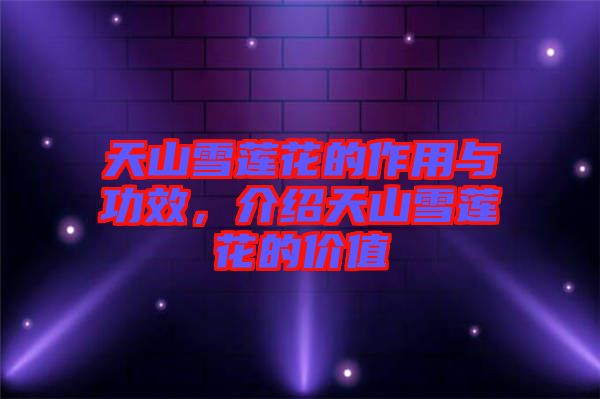 天山雪蓮花的作用與功效，介紹天山雪蓮花的價(jià)值