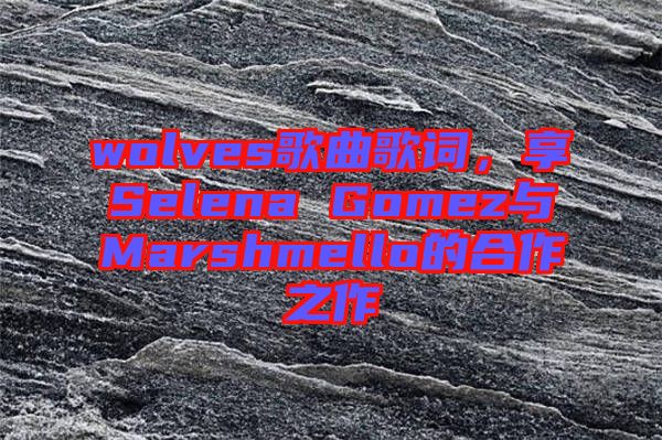 wolves歌曲歌詞，享Selena Gomez與Marshmello的合作之作
