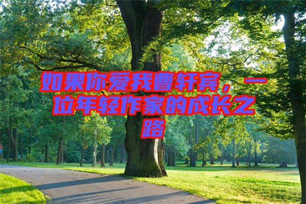 如果你愛我曹軒賓，一位年輕作家的成長之路