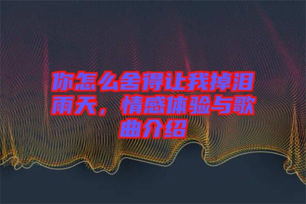 你怎么舍得讓我掉淚雨天，情感體驗(yàn)與歌曲介紹