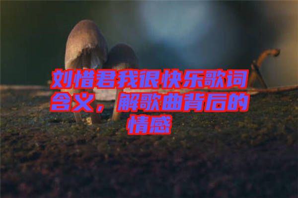 劉惜君我很快樂(lè)歌詞含義，解歌曲背后的情感