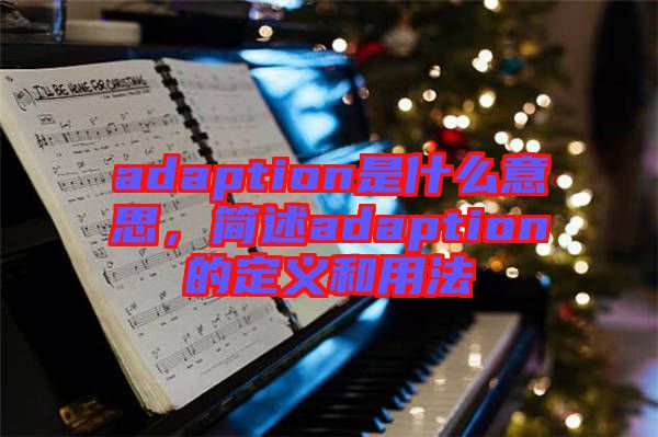 adaption是什么意思，簡(jiǎn)述adaption的定義和用法