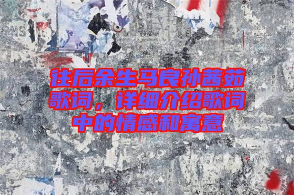 往后余生馬良孫茜茹歌詞，詳細(xì)介紹歌詞中的情感和寓意