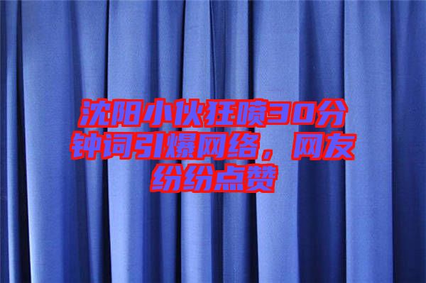 沈陽(yáng)小伙狂噴30分鐘詞引爆網(wǎng)絡(luò)，網(wǎng)友紛紛點(diǎn)贊