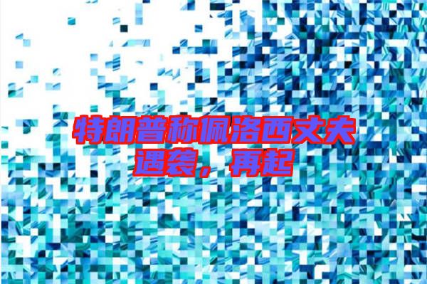特朗普稱佩洛西丈夫遇襲，再起