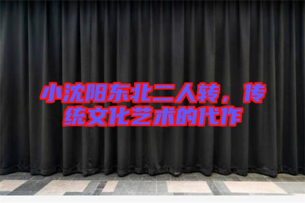 小沈陽東北二人轉，傳統(tǒng)文化藝術的代作