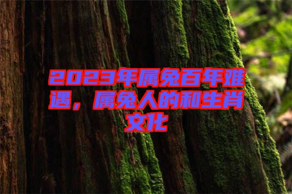 2023年屬兔百年難遇，屬兔人的和生肖文化