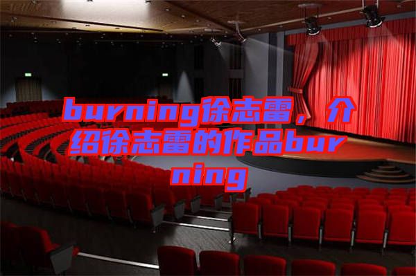 burning徐志雷，介紹徐志雷的作品burning