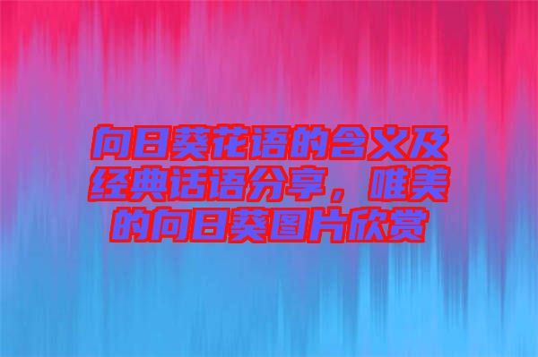 向日葵花語的含義及經典話語分享，唯美的向日葵圖片欣賞