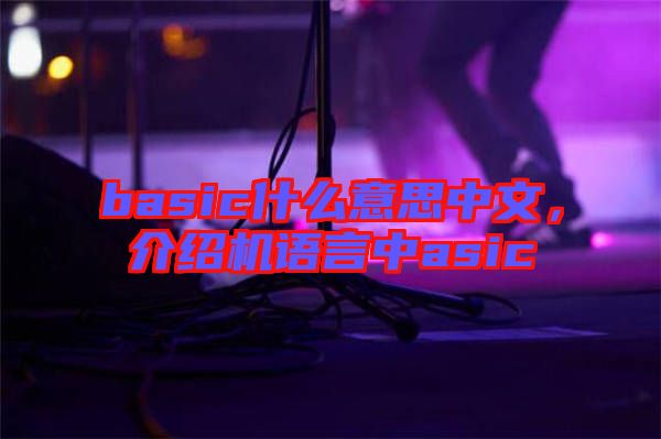 basic什么意思中文，介紹機(jī)語(yǔ)言中asic
