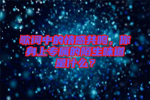 歌詞中的情感共鳴，你身上專屬的陌生味道是什么？
