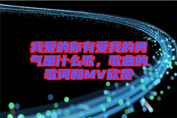我愛的你有愛我的勇氣是什么歌，歌曲的歌詞和MV欣賞
