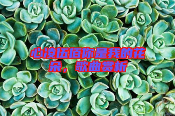 心凌伍佰你是我的花朵，歌曲賞析