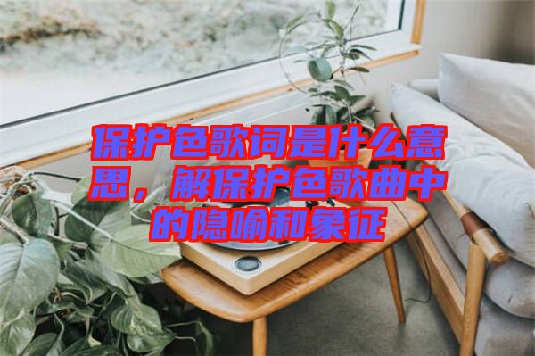 保護(hù)色歌詞是什么意思，解保護(hù)色歌曲中的隱喻和象征