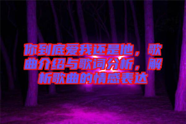 你到底愛我還是他，歌曲介紹與歌詞分析，解析歌曲的情感表達(dá)
