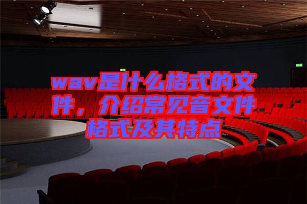 wav是什么格式的文件，介紹常見(jiàn)音文件格式及其特點(diǎn)
