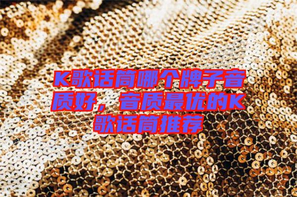 K歌話筒哪個(gè)牌子音質(zhì)好，音質(zhì)最優(yōu)的K歌話筒推薦