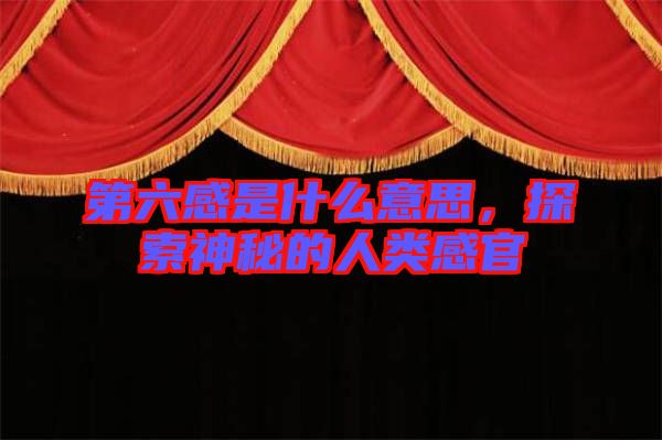 第六感是什么意思，探索神秘的人類感官