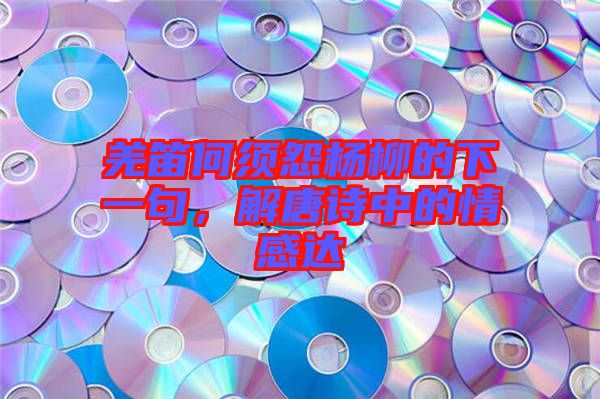 羌笛何須怨楊柳的下一句，解唐詩中的情感達(dá)