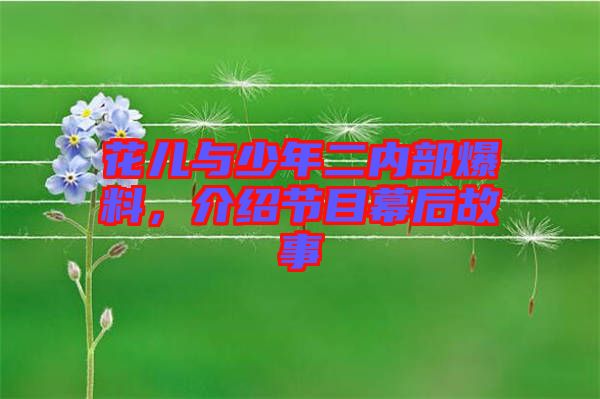 花兒與少年二內部爆料，介紹節(jié)目幕后故事