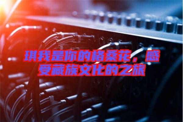 琪我是你的格桑花，感受藏族文化的之旅