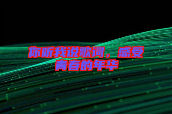 你聽我說歌詞，感受青春的年華