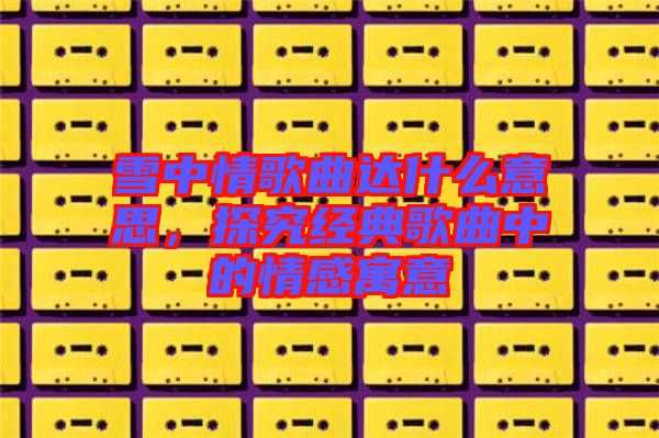 雪中情歌曲達什么意思，探究經(jīng)典歌曲中的情感寓意