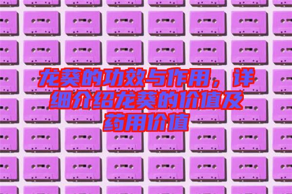 龍葵的功效與作用，詳細(xì)介紹龍葵的價值及藥用價值