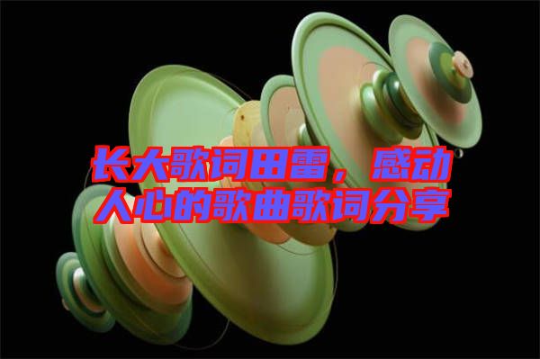 長(zhǎng)大歌詞田雷，感動(dòng)人心的歌曲歌詞分享