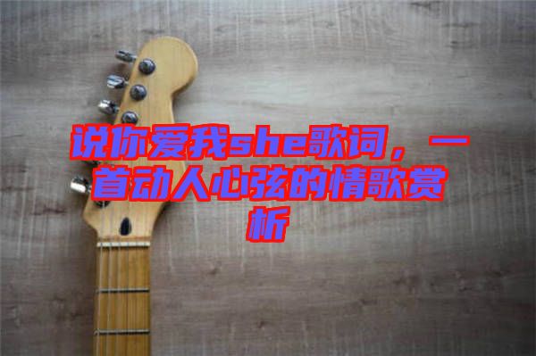 說你愛我she歌詞，一首動人心弦的情歌賞析