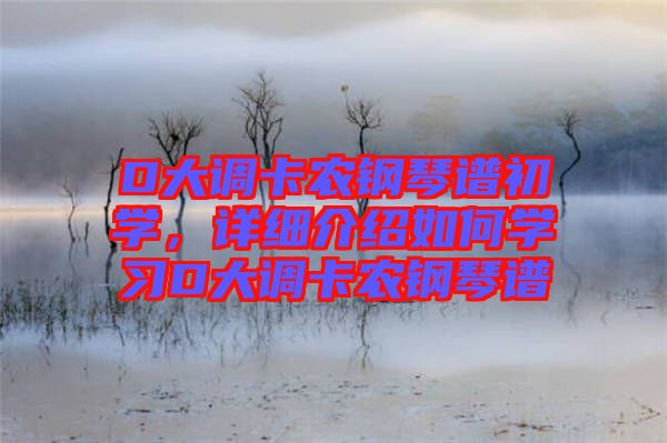 D大調(diào)卡農(nóng)鋼琴譜初學(xué)，詳細介紹如何學(xué)習(xí)D大調(diào)卡農(nóng)鋼琴譜