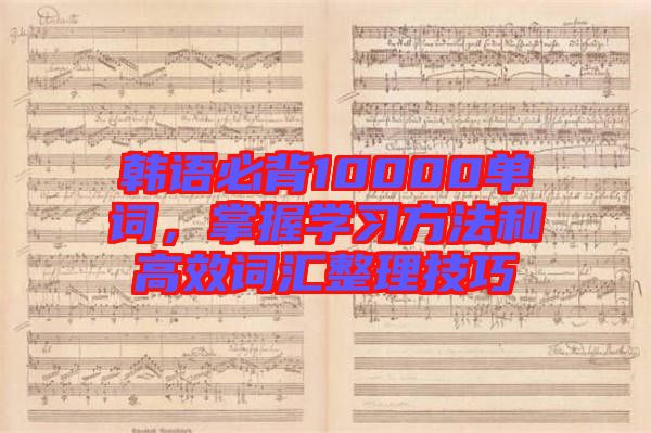 韓語必背10000單詞，掌握學(xué)習(xí)方法和高效詞匯整理技巧