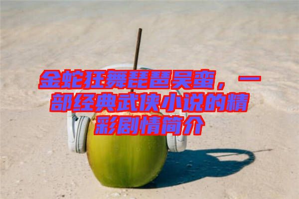 金蛇狂舞琵琶吳蠻，一部經(jīng)典武俠小說(shuō)的精彩劇情簡(jiǎn)介