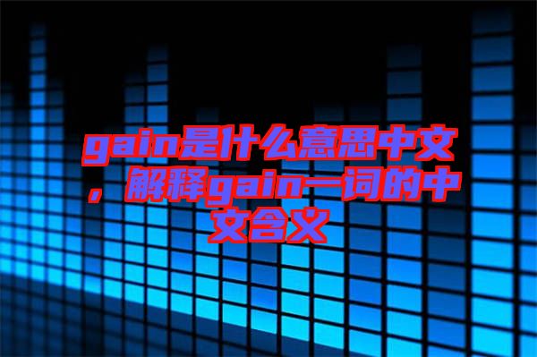 gain是什么意思中文，解釋gain一詞的中文含義