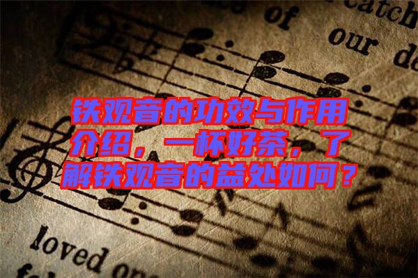 鐵觀音的功效與作用介紹，一杯好茶，了解鐵觀音的益處如何？