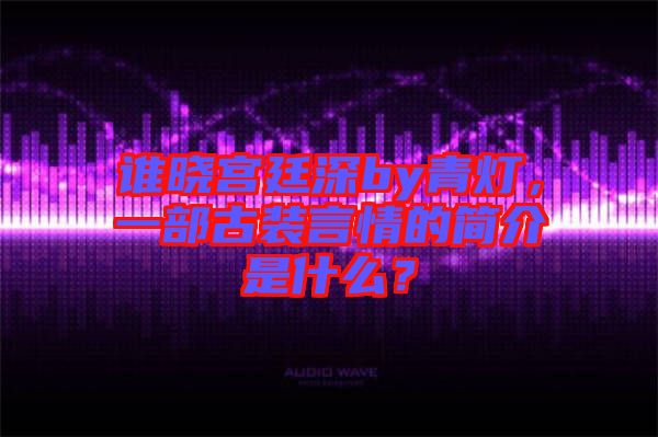 誰曉宮廷深by青燈，一部古裝言情的簡介是什么？