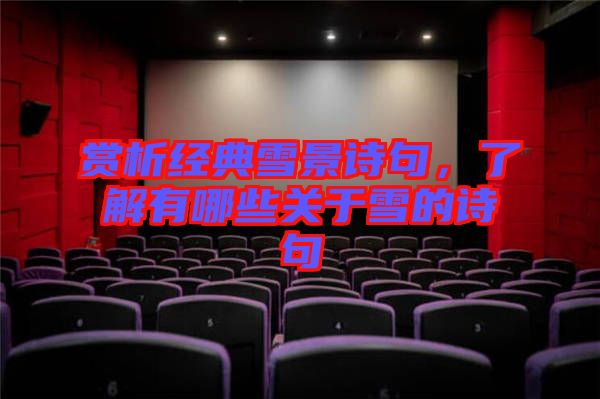 賞析經(jīng)典雪景詩句，了解有哪些關于雪的詩句